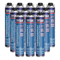 Thermospray 29 oz. Gun Foam (Case)